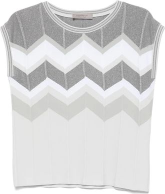 D.exterior chevron-knit vest - Grey