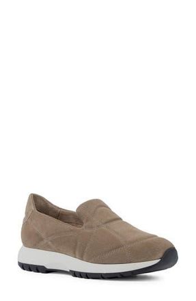 Aquatalia Katya Quilted Weatherproof Slip-On Sneaker in Shell at Nordstrom Rack, Size 10.5