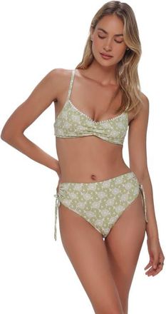 Swim Systems Pom Pom Sylvia Bralette Bikini Swimsuit Top in Cactus Flower at Nordstrom, Size 3X-Large