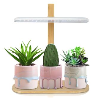 Infinite L&aacute;mpara Led De Espectro Completo De 10 W Para Plantas De Interior, Altura Ajustable, Temporizador (2/4/8 Horas), 4 Niveles De Brillo, Dise&ntilde;o De Mesa F