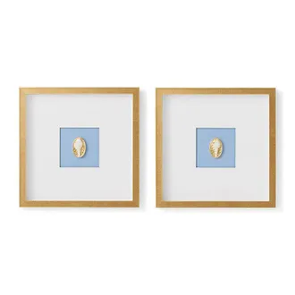 Frontgate Shell Intaglio Shadow Boxes - Shadowbox II - Frontgate