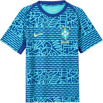 Nike Brazil Academy Soccer Jersey Blue FJ2723-445