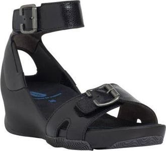 Wolky Eraza Ankle Strap Sandal in Black at Nordstrom, Size 11Us