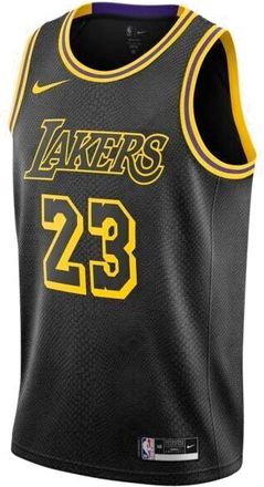 Nike NBA LeBron James Los Angeles Lakers 2021/22 Jersey 23 DJ1433-011