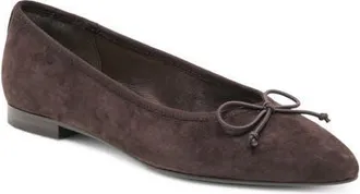 Dolce Vita Celio Pointed Toe Flat in Ebony Suede at Nordstrom, Size 6.5