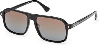 Web Eyewear WE0396 05F Mens Sunglasses Black Size 56