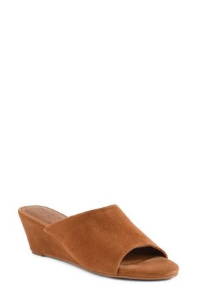 Seychelles Isnt She Lovely Wedge Slide Sandal in Tan at Nordstrom, Size 6.5