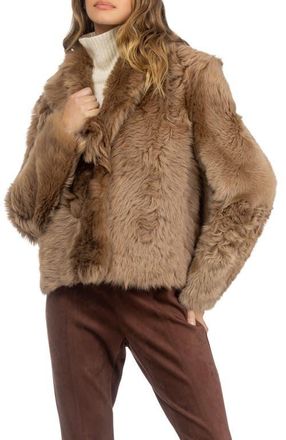Gorski Genuine Shearling Reversible Jacket in Dark Camel at Nordstrom, Size X-Small