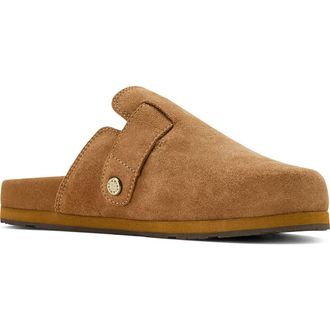 Ariat Country Mule in Caramel Suede at Nordstrom, Size 10.5