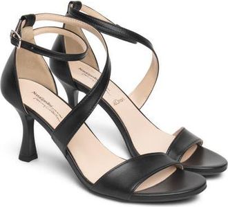 Nero Giardini Ankle Strap Sandal in Black at Nordstrom, Size 11Us