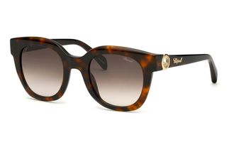 Chopard Brown Gradient Oval Ladies Sunglasses SCH335S 01AY 52