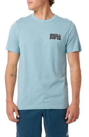 O'Neill De La Cruzer Classic Cotton Graphic T-Shirt in Stone Blue at Nordstrom, Size Xx-Large