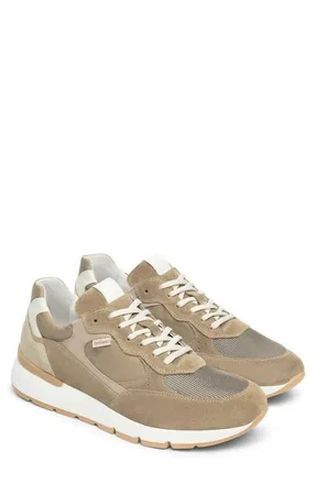 Nero Giardini Low Top Sneaker in Taupe at Nordstrom, Size 10-10.5Us