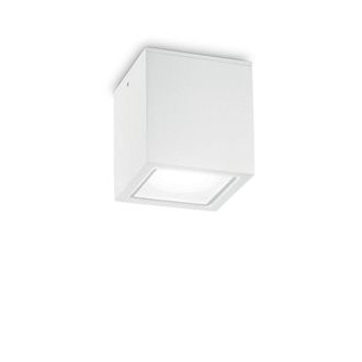 Netlighting Techo Outdoor Large Surface Mounted Downlight White IP54 GU10