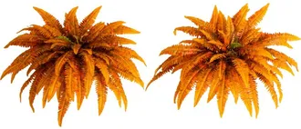 Nearly Natural 48-in Autumn Artificial Fall Boston Fern - Set of 2 in Orange at Nordstrom