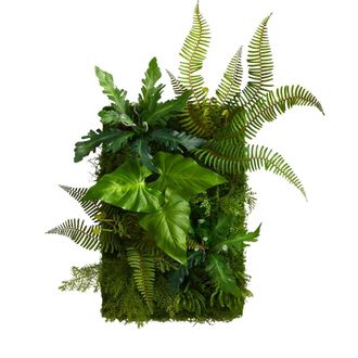 Nearly Natural 24-in x 16-in Mixed Foliage Artificial Living Wall in Green at Nordstrom