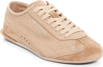 Dolce & Gabbana Lipari Sneaker in Nocciola at Nordstrom, Size 45