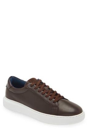G. Brown Puff Low Top Leather Sneaker at Nordstrom Rack, Size 8.5