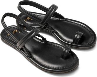 beek Pavo Toe Loop Sandal in Black at Nordstrom, Size 10