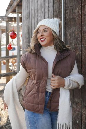 HYFVE Classic Zip Up Puffer Vest In Brown
