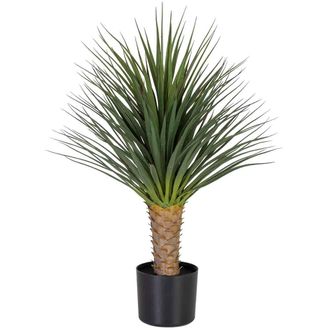 Wanderlust Deco &Aacute;rbol Dracena Marginata Artificial Decorativo Verde, 64x64x85h Cm