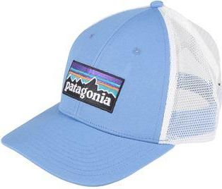 Patagonia P-6 Logo LoPro Trucker Hat