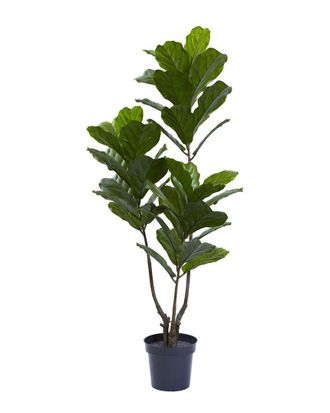 Nearly Natural Uv Resistant Fiddle Leaf Tree