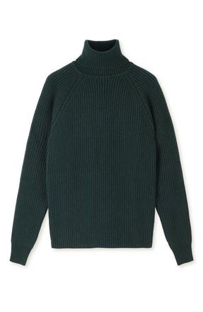 Fortela Oslo Merino Wool High Neck Sweater in Green at Nordstrom, Size Small Eu