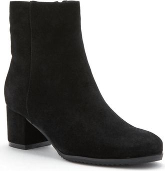 Blondo Womens Alida Ankle Bootie In Black Suede