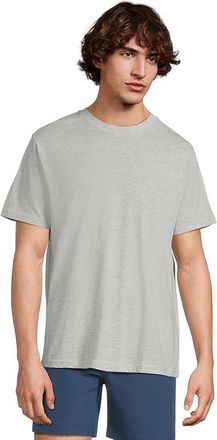 Chubbies The Seal Of Approval (Non Pocket Graphic T-shirt) Mens T Shirt Light Pastel Grey : XL, Cotton/Polyester