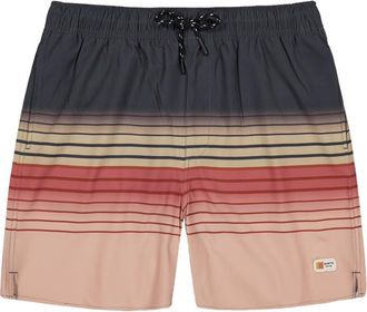 Barts Amadouc Shorts Badehose f&uuml;r Herren | grau