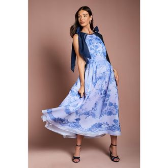 Coast Placement Print Organza Midi Dress in Blue at Nordstrom, Size 12