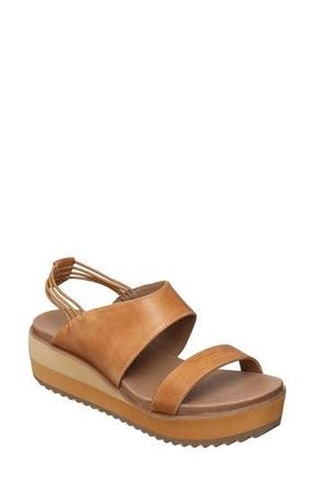 Antelope Cachet Platform Wedge Sandal in Taupe at Nordstrom Rack, Size 10