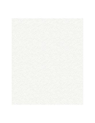 No Brand 3005 Patent Wand Wan 10,05x0.53m5,33m&sup2; Pr&eacute;peint - Decorama