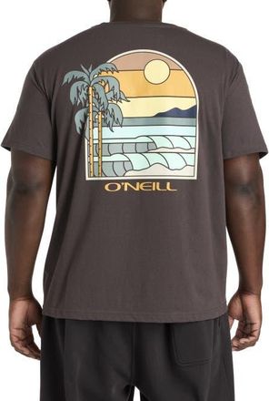 O'Neill Big & Tall Glassy Days Graphic Tee in Graphite at Nordstrom, Size 3X Big