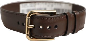Dolce & Gabbana Calfskin Leather with Gold-Tone Buckle Belt - Brown