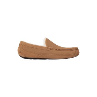 UGG Ugg, Hombre, Zapatos, Beige, Talla: 41 EU