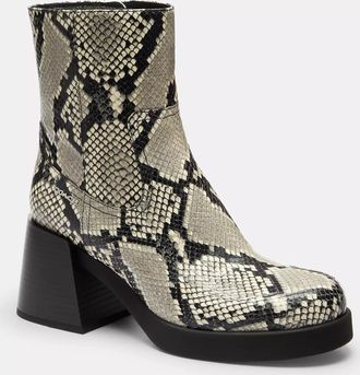 Coach Block Heel Boot With Snake Print