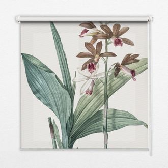 Tulup Tenda A Rullo Interna Per Finestra - Tenda Filtrante Luce - Tenda Privacy - Tenda Decorativa Rettangolare - Rullo Per Interni - (110 Cm X 140 Cm) - Fi