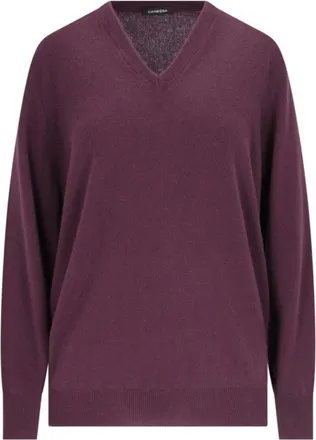 Canessa V-Neck Sweater In Purple Cashmere Purple