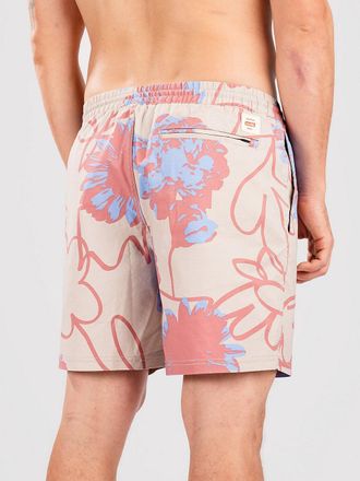 Globe Dreamin Wild Boardshorts patroon