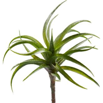 Nearly Natural 8-in Air Plant Artificial Succulent in Green at Nordstrom