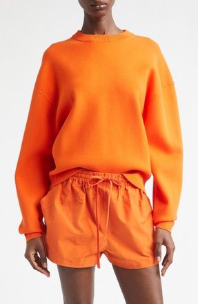 A.L.C. Teddy Crewneck Sweater in Poppy at Nordstrom, Size X-Small
