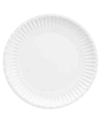 Fortessa Dvm Street Eats Plate