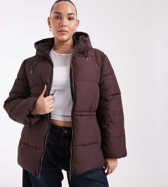 Noisy May giacca puffer con cappuccio e vita stretta in chocolate-Marrone