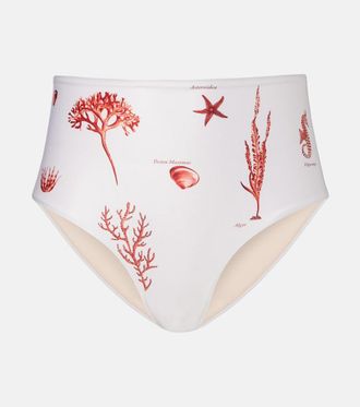 Agua Bendita Magdalena printed bikini bottoms