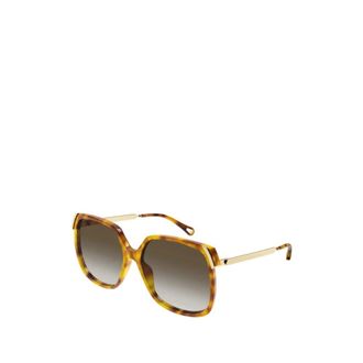 Chlo&eacute; Sunglasses, female, Brown, Size: 60 MM Sunglasses