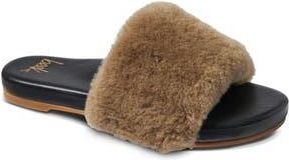 beek Baza Genuine Shearling Slide Sandal in Bronze Black at Nordstrom Rack, Size 10