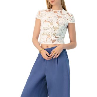 Ivonne See-Through Embroidered Top in Ivory at Nordstrom, Size 10