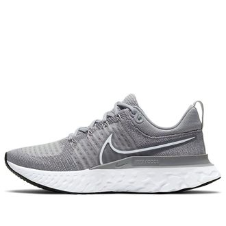 Nike (WMNS) Nike React Infinity Run Flyknit 2 Particle Grey CT2423-001